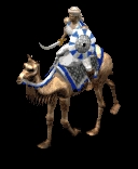 camel.jpg (12763 Byte)
