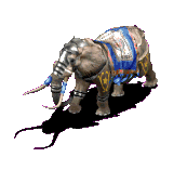 elefant2.gif (49174 Byte)